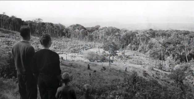 Family overlooking jungle clearing